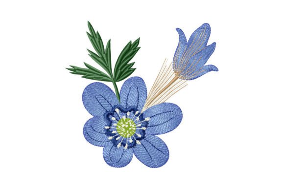 Blue Anemone Flower: A Designer’s Review