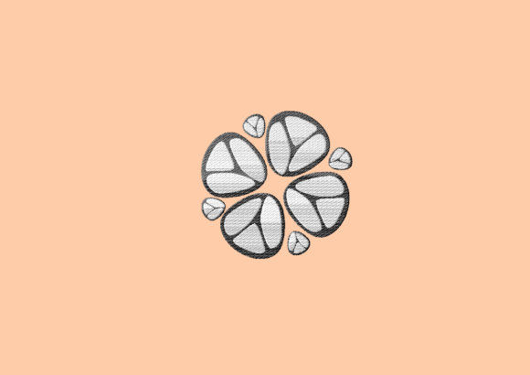 Cell Flower: A Designer’s Review for Boutique Sweatshirts