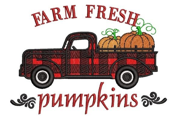 Farm Fresh Pumpkins: A Designer’s Review for Boutique Apparel