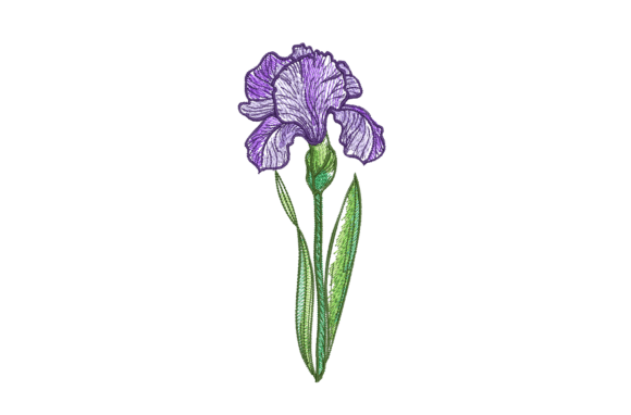 Iris Flower: A Seasonal Embroidery Review